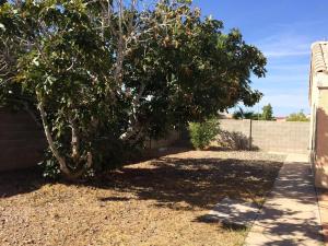 364 S Bermuda Dr, Gilbert, AZ 85296 photo 13