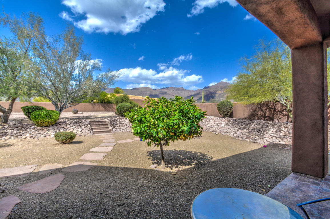 9650 E Cloudview Ave, Gold Canyon, AZ 85118 photo 3