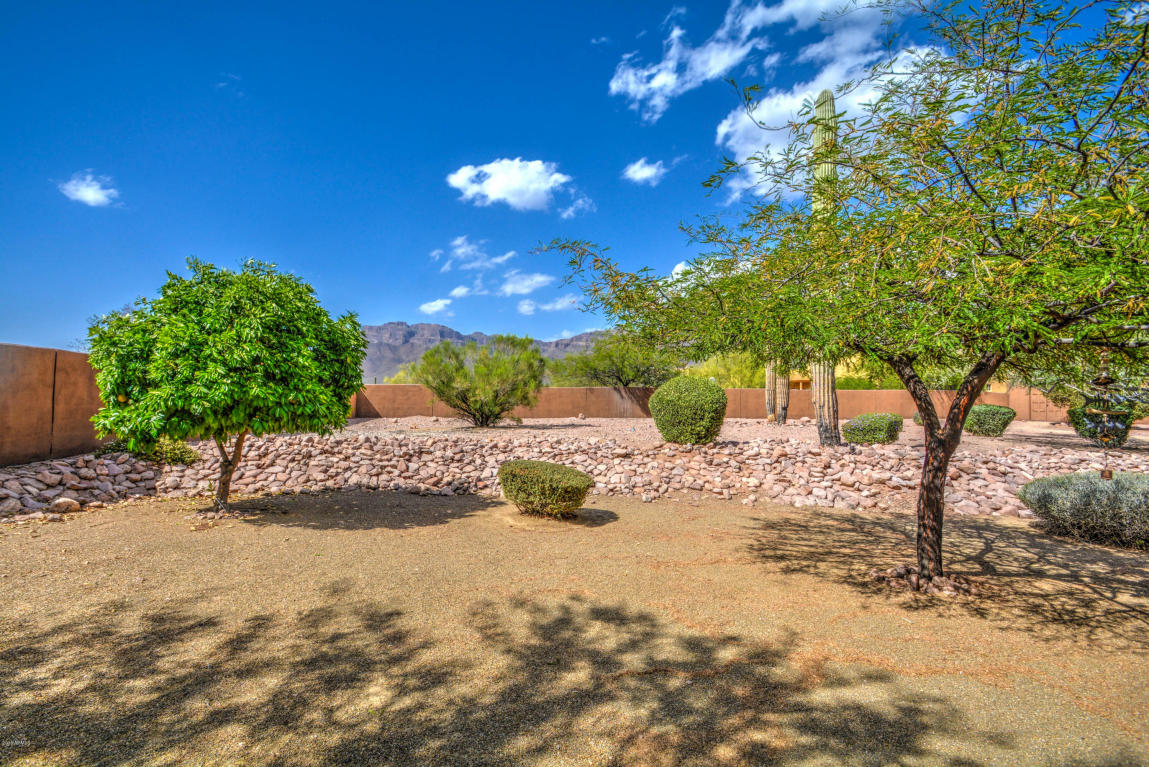 9650 E Cloudview Ave, Gold Canyon, AZ 85118 photo 78
