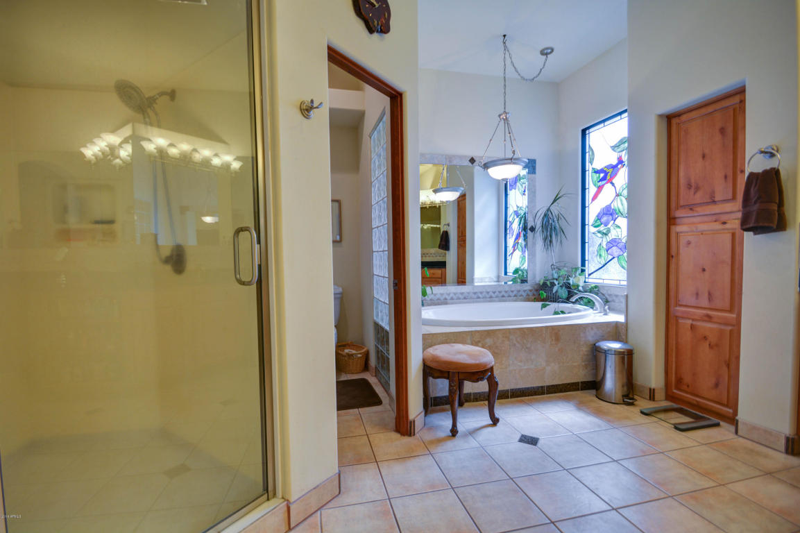 9650 E Cloudview Ave, Gold Canyon, AZ 85118 photo 53