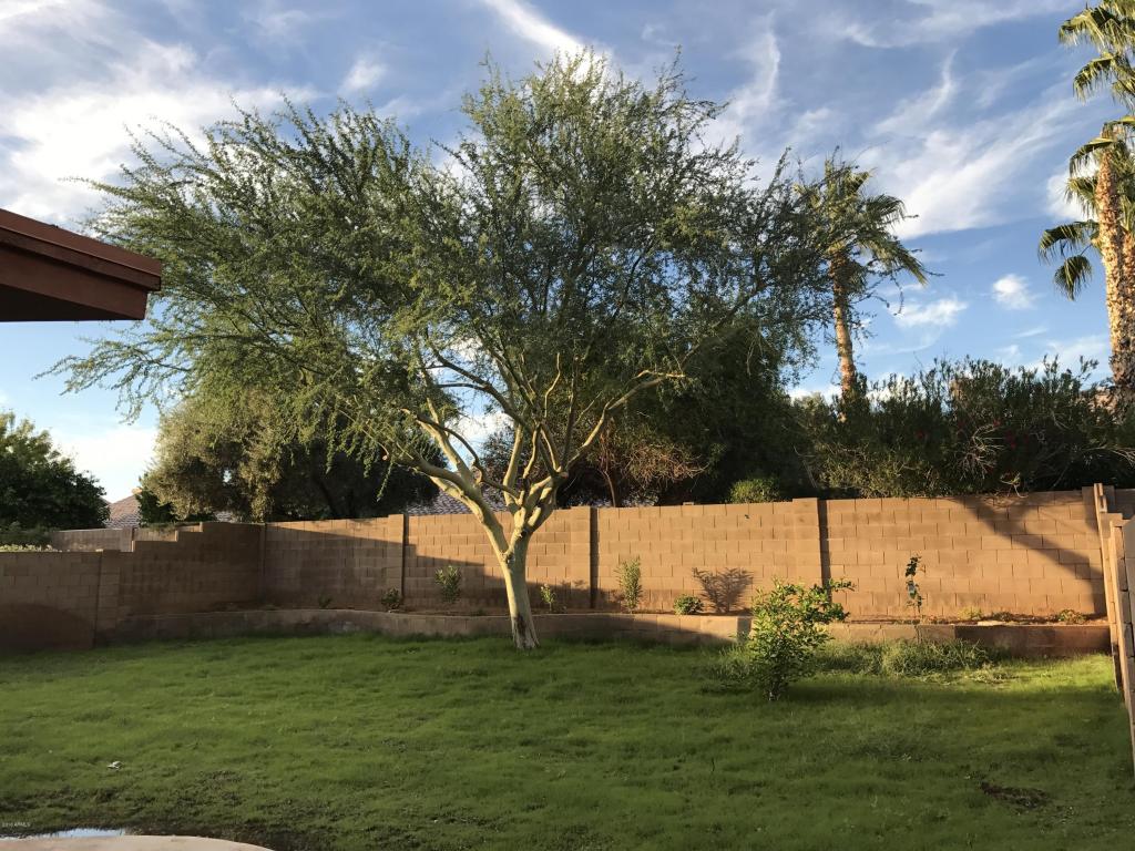 4372 E Coolbrook Ave, Phoenix, AZ 85032 photo 20