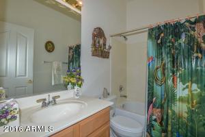 4632 E Chisum Trl, Phoenix, AZ 85050 photo 19