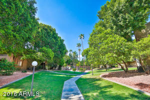 3825 E Camelback Rd #238, Phoenix, AZ 85018 photo 20