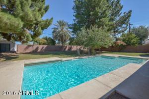 9011 N 13th Ave, Phoenix, AZ 85021 photo 4