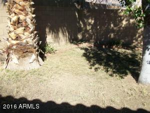 2206 E Taro Ln, Phoenix, AZ 85024 photo 21