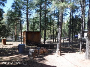 3616 Red Wing Loop, Heber, AZ 85928 photo 10
