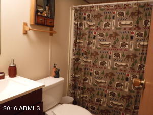 3616 Red Wing Loop, Heber, AZ 85928 photo 4