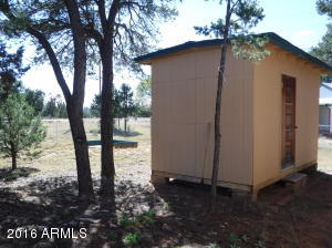 3616 Red Wing Loop, Heber, AZ 85928 photo 7
