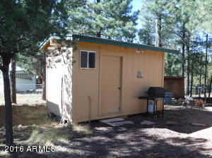 3616 Red Wing Loop, Heber, AZ 85928 photo 6