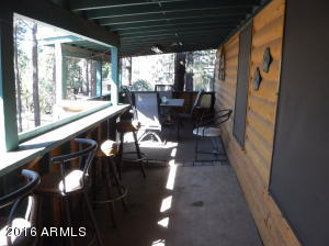 3616 Red Wing Loop, Heber, AZ 85928 photo 29