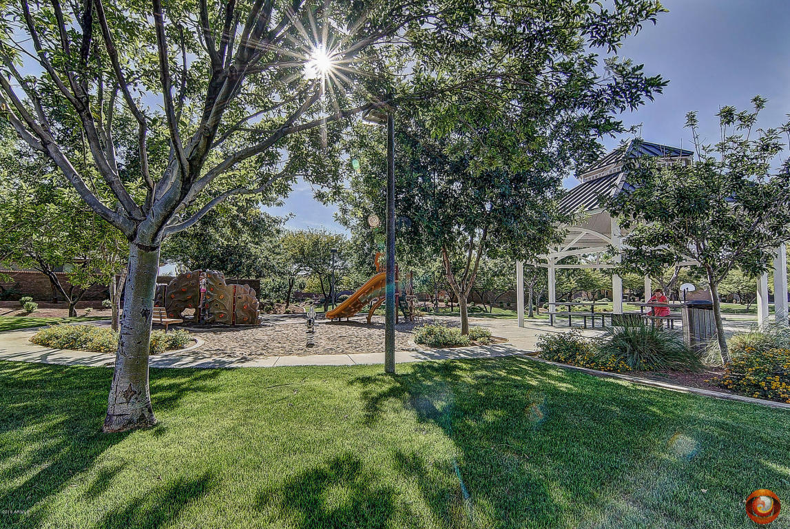 3667 S Vineyard Ave, Gilbert, AZ 85297 photo 42