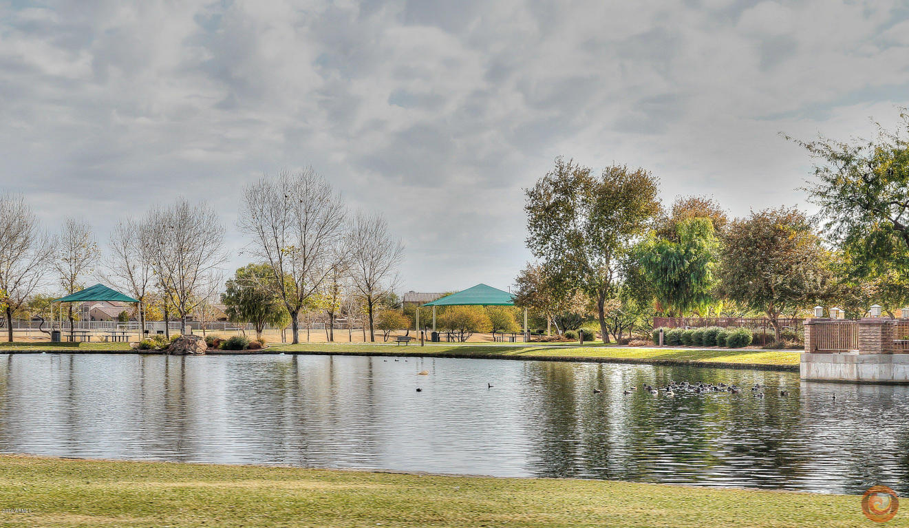 3667 S Vineyard Ave, Gilbert, AZ 85297 photo 46