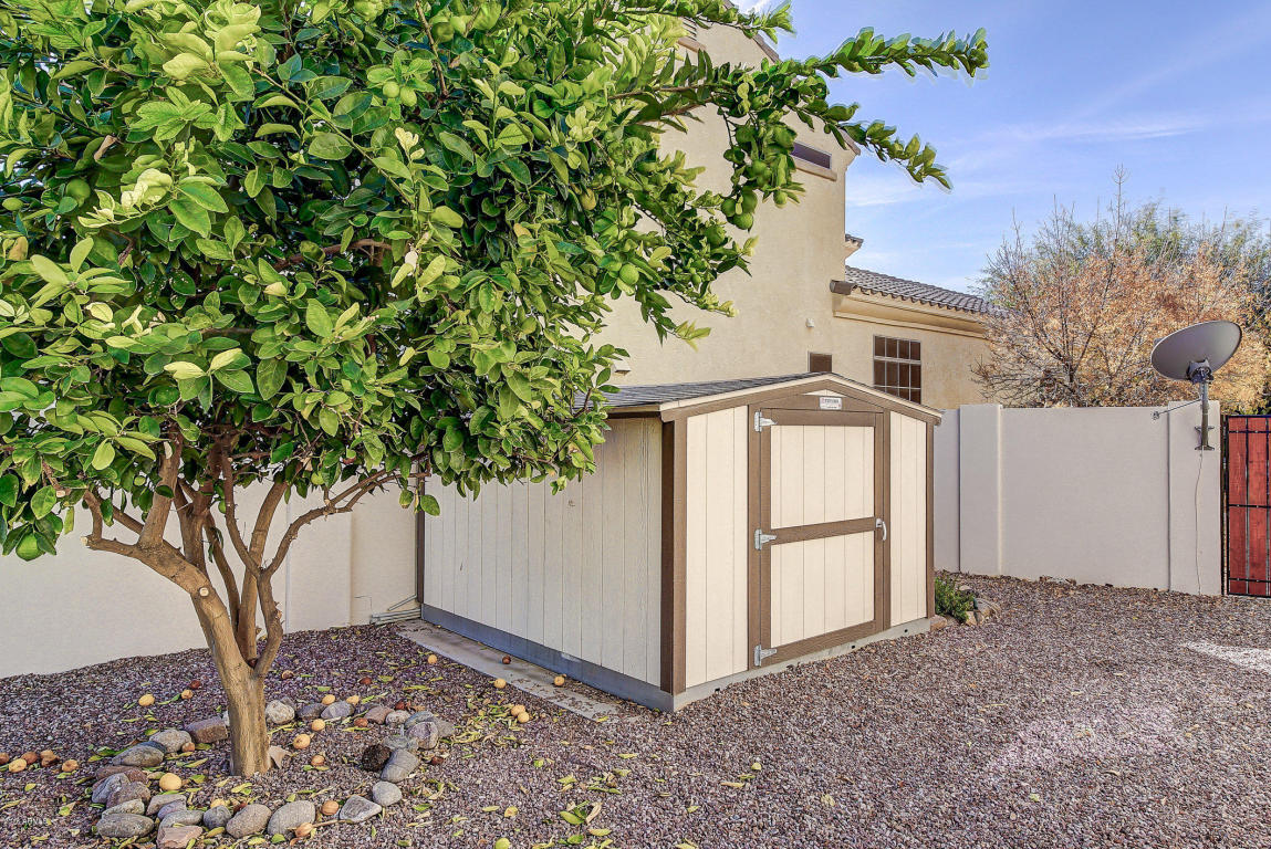3667 S Vineyard Ave, Gilbert, AZ 85297 photo 39