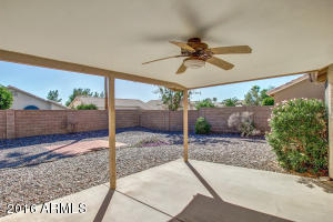 2547 E Taro Ln, Phoenix, AZ 85050 photo 28