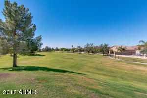 9744 E Lobo Ave, Mesa, AZ 85209 photo 31
