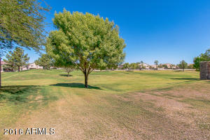 9744 E Lobo Ave, Mesa, AZ 85209 photo 29
