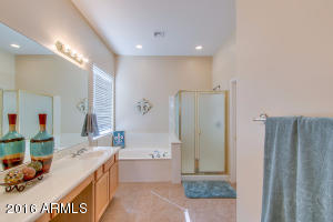 9744 E Lobo Ave, Mesa, AZ 85209 photo 15