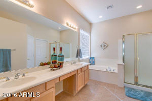 9744 E Lobo Ave, Mesa, AZ 85209 photo 16
