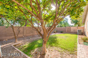 1377 E Century Ave, Gilbert, AZ 85296 photo 27