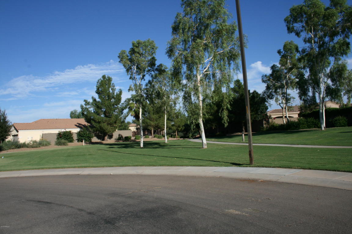 4532 E Murrieta Rd, Gilbert, AZ 85297 photo 8