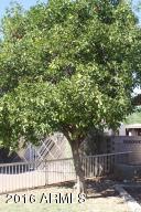 3209 N 48th Dr, Phoenix, AZ 85031 photo 39