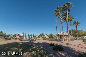 7141 E Jacob Ave, Mesa, AZ 85209 photo 31