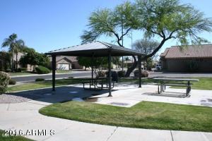 9741 E Jerome Ave, Mesa, AZ 85209 photo 40