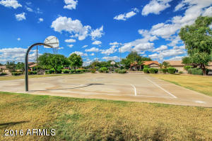 9741 E Jerome Ave, Mesa, AZ 85209 photo 43