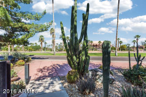 21 E 13th St, Tempe, AZ 85281 photo 5