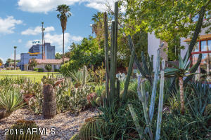 21 E 13th St, Tempe, AZ 85281 photo 2