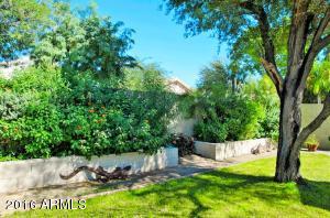 3510 Edna Ave, Phoenix, AZ 85032 photo 31