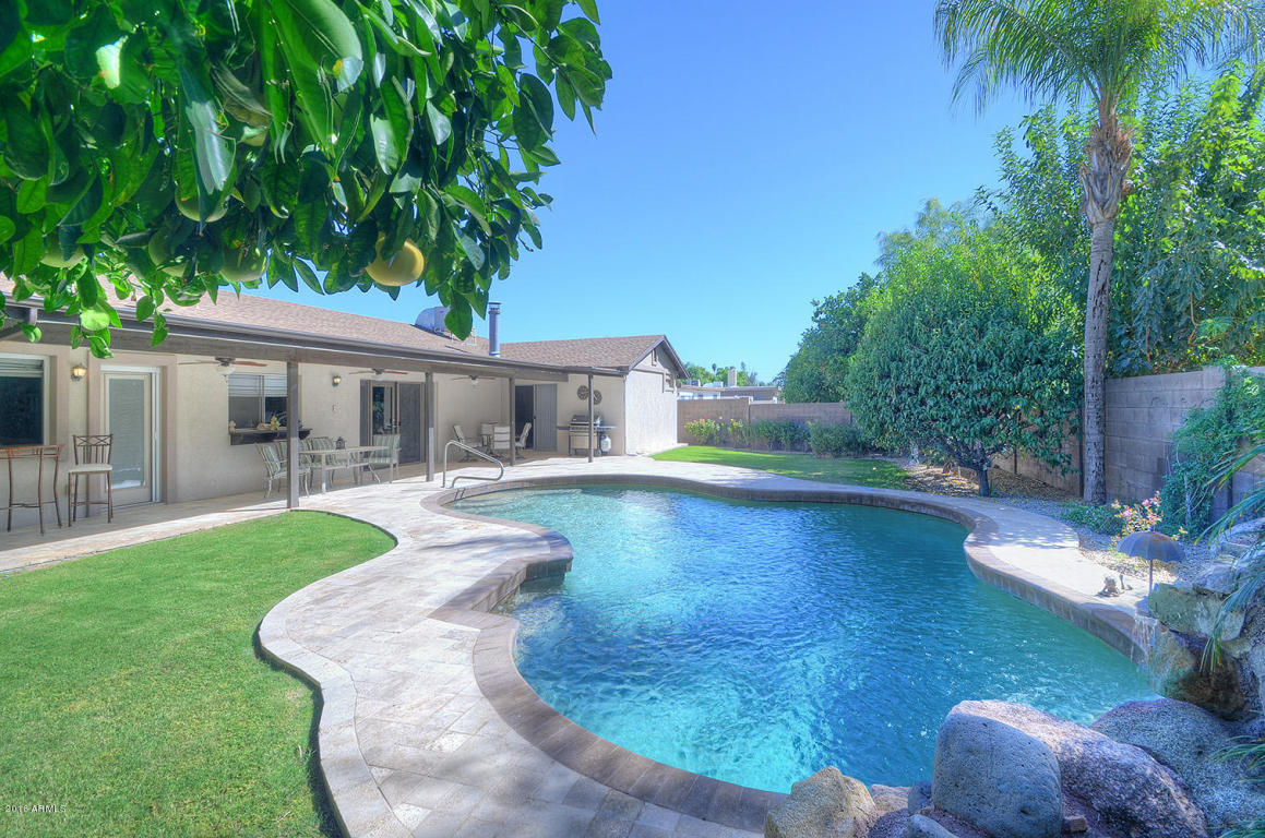5009 Evans Dr, Scottsdale, AZ 85254 photo 3