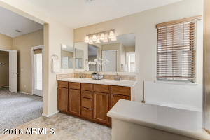 3855 E Battala Ave, Gilbert, AZ 85297 photo 25