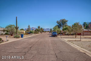 10101 E Jones Ave, Mesa, AZ 85208 photo 4