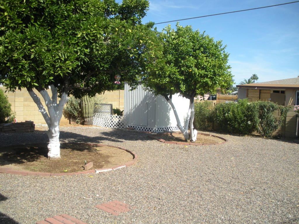 5520 E Cicero St, Mesa, AZ 85205 photo 11