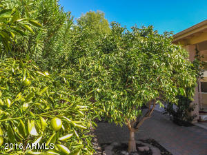 298 W Dublin St, Gilbert, AZ 85233 photo 15