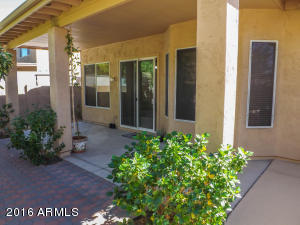 298 W Dublin St, Gilbert, AZ 85233 photo 13