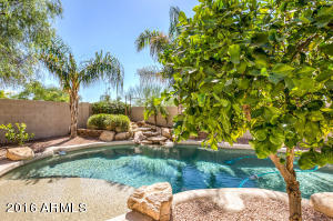 25402 N Hackberry Dr, Phoenix, AZ 85083 photo 58