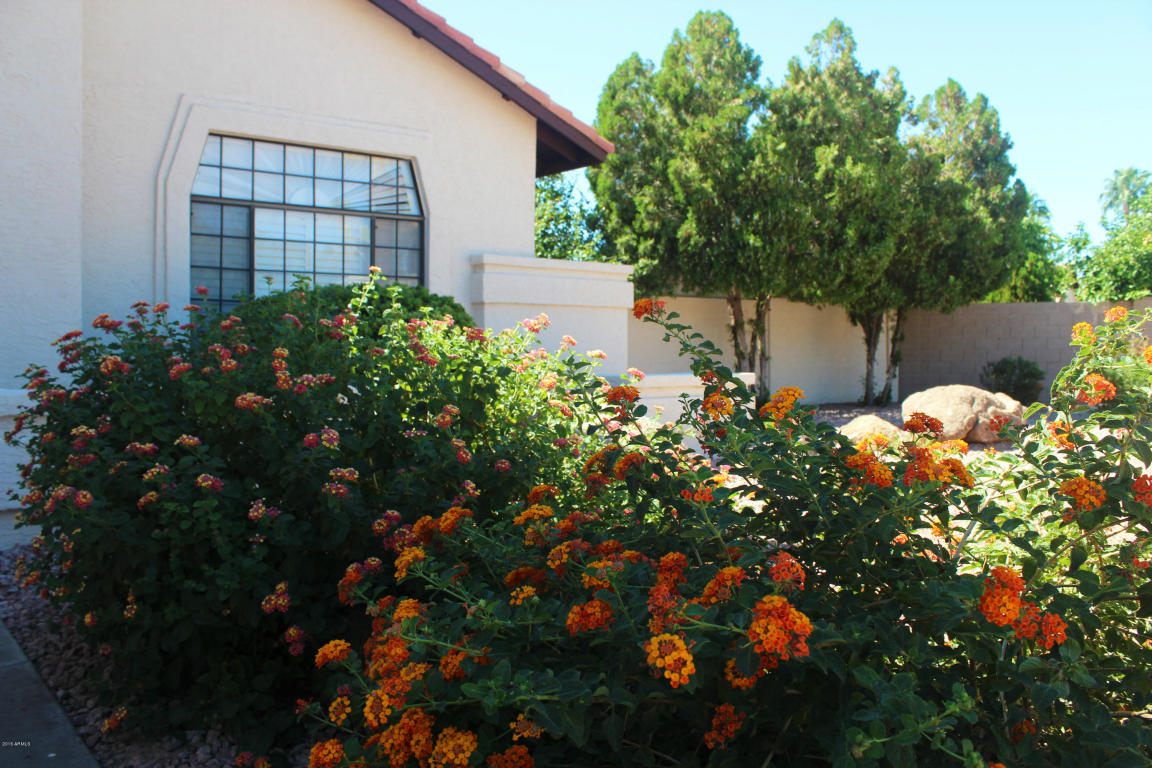 1811 E Citation Ln, Tempe, AZ 85284 photo 4