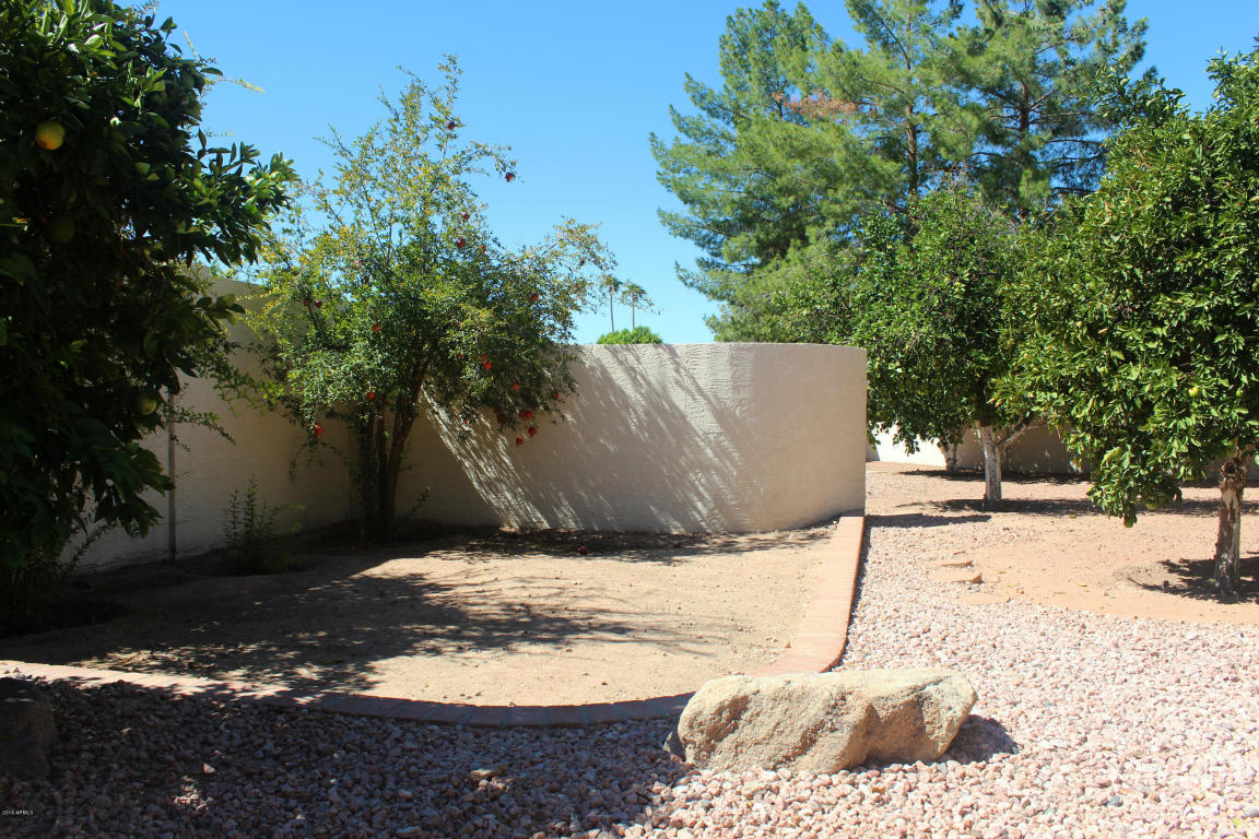 1811 E Citation Ln, Tempe, AZ 85284 photo 34