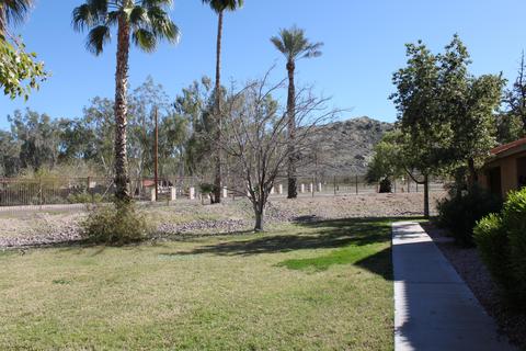 3511 E Baseline Rd #1180, Phoenix, AZ 85042 photo 3