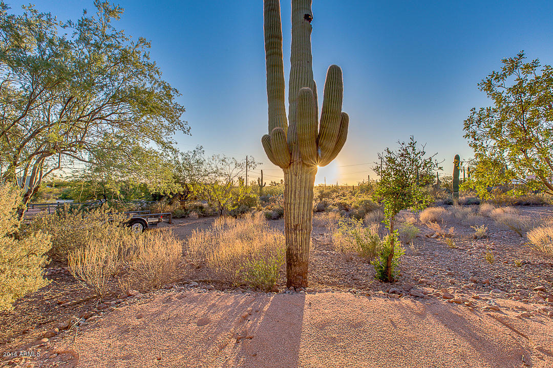 5160 E Shiprock St, Apache Junction, AZ 85119 photo 51