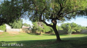 441 S Maple -- #30, Mesa, AZ 85206 photo 23