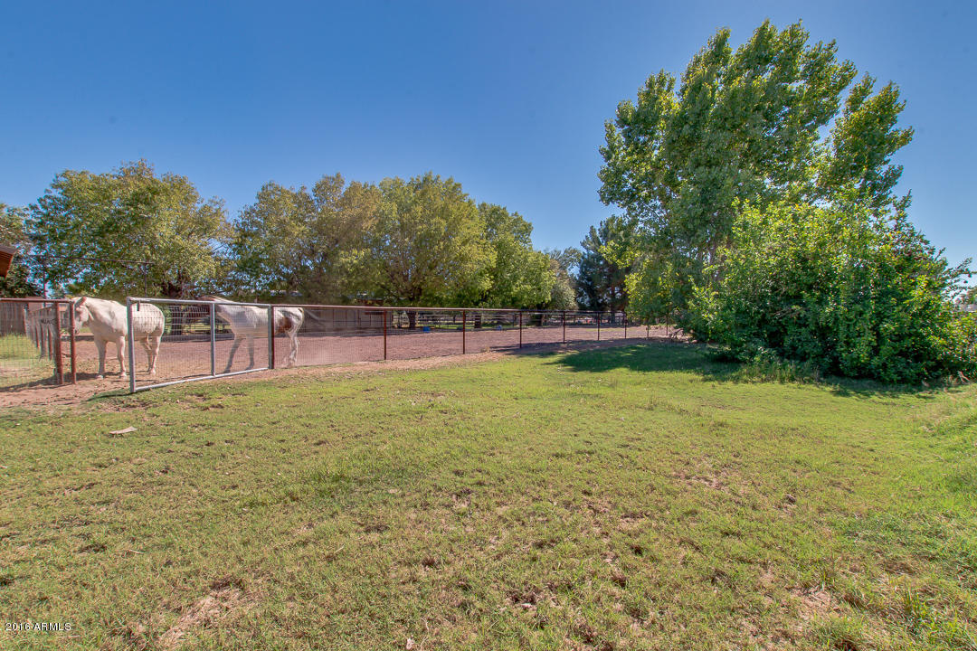 2201 E Melrose St, Gilbert, AZ 85297 photo 68
