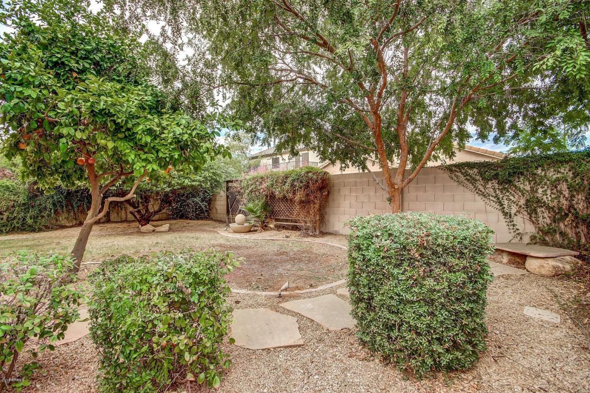 4444 E Dublin St, Gilbert, AZ 85295 photo 18