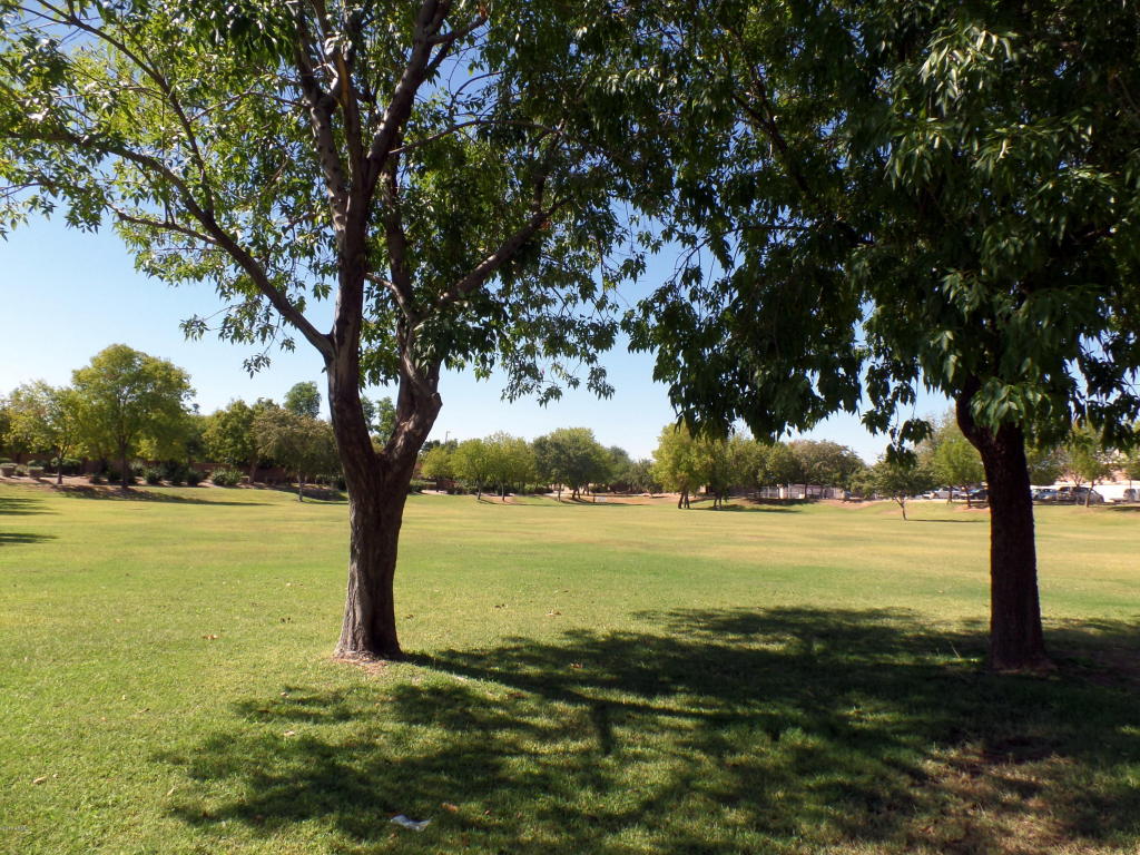 1433 E Ivanhoe St, Gilbert, AZ 85295 photo 42