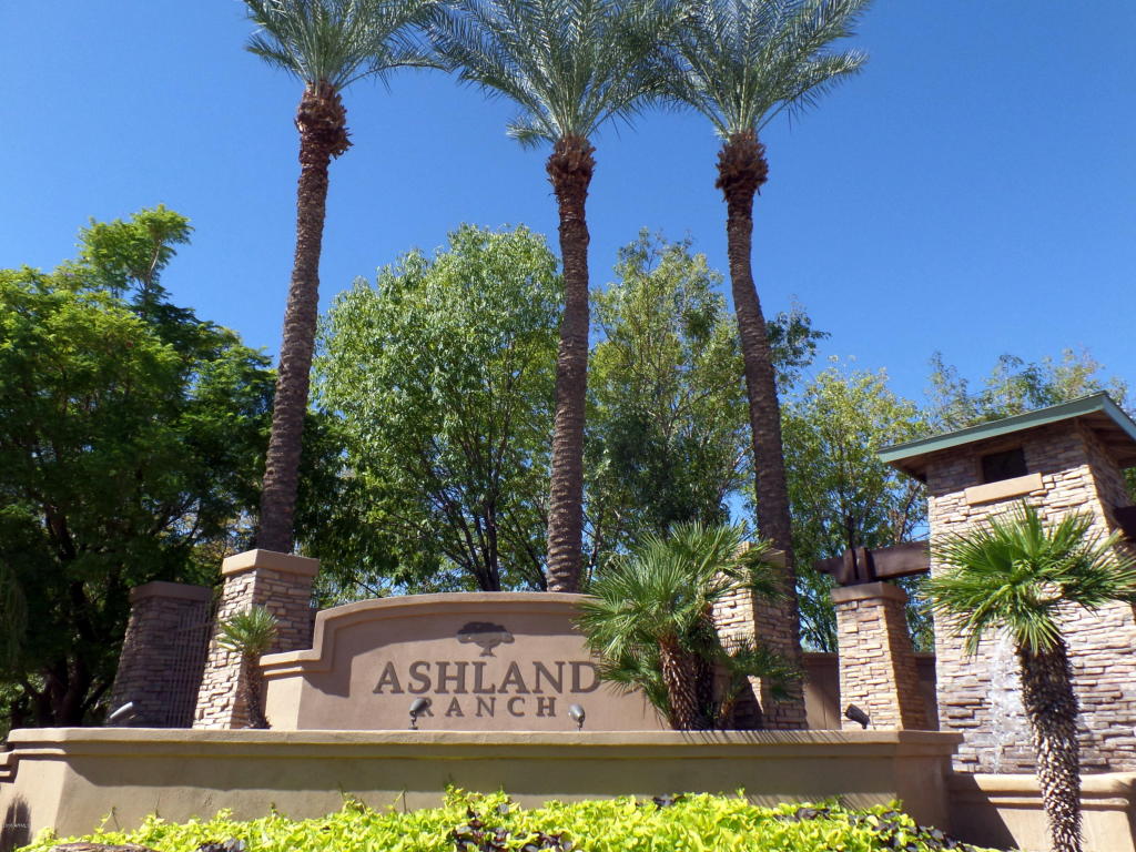 1433 E Ivanhoe St, Gilbert, AZ 85295 photo 44