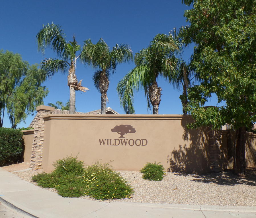 1433 E Ivanhoe St, Gilbert, AZ 85295 photo 43