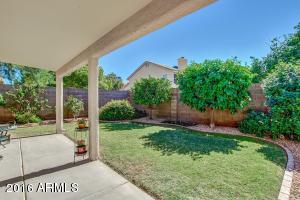 7253 E June St, Mesa, AZ 85207 photo 21