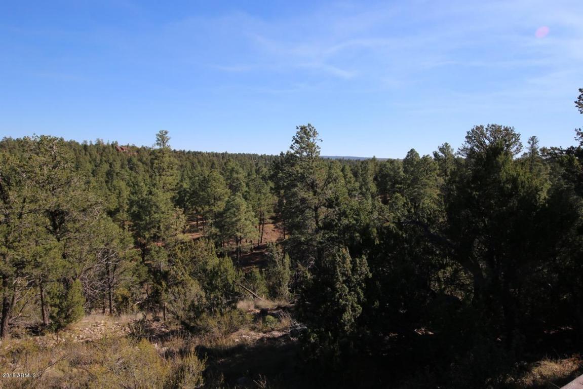 2885 Cedar Rdg, Overgaard, AZ 85933 photo 32